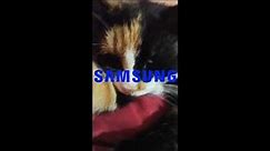 Samsung SGH-S200 Startup and Shutdown (My Version)