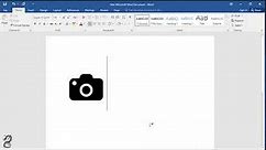 How to type camera symbol in Word