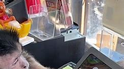 Monkey Tries Out Job as a Cashier
