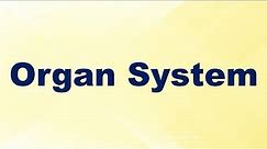 Organ System Definition and Example I Biology