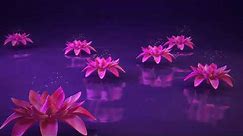 3D Lotus flower water reflection nature animated background video , Copyright FREE video