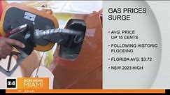 Florida gas prices hit new high for the year