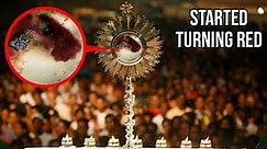 3 Scientifically Proven Eucharistic Miracles