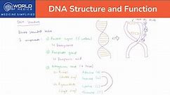 What is DNA? - DNA Structure and Function | Cell Biology