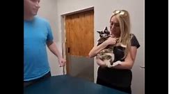 Cat reunited with owners after accidentally being shipped in an Amazon box to the warehouse
