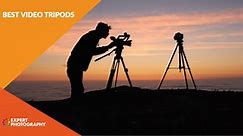 12 Best Video Tripods in 2024 (Photography & Videography)