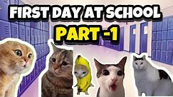 Cat Memes | First Day at School Part #1