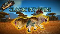 World of Warcraft - Classic / SoD Hunter Pet Guide