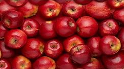 15 Reasons Why Apples are Incredibly Good for Your Health | Health And Nutrition