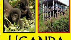 Uganda: Sustainable Tourism:Uganda: Sustainable Tourism