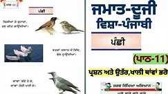 2nd class | Punjabi | lesson 11 | Panchi | question answer | PSEB | Chapter 11 |Punjabi pustak