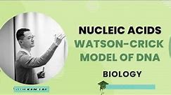 FSC Biology Lecture #3 Nucleic Acid & Watson Crick Model of DNA and RNA | MDCAT UHS | Stars Academy