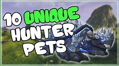 10 Unique and Cool Hunter Pets That AREN'T Spirit Beasts for World of Warcraft