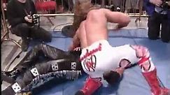 018. Shawn Michaels vs. Diesel (WrestleMania XI 1995 WWF Championship)