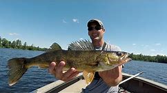 Walleye Fishing Tips – Biggest Tricks To Catching More Summer Walleye (2019)