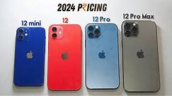 Budget iphones 2024🔥iPhone 12 series Entry level segment | 2nd hand , Refurbished Pricing 👍