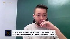 Dogecoin Soars After Twitter Replaces Blue Bird Logo With the Token's Dog