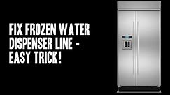 Fix Frozen Refrigerator Water Dispenser Line Video