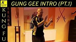 The First Moves in HUNG GAR Kung Fu! (Part 1)