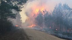 Jefferson Davis 1300 Wildfire