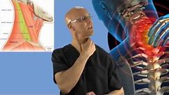 90-Second Relief Technique for a Stiff Neck (Wry Neck, Torticollis) - Dr Mandell