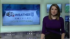 Weather U: ABC13 Meteorologist Rachel Briers describes hard versus light freeze