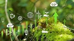 CO2 reduce concept.Infographic with icons.Reduction of carbon emissions, carbon neutral concept. Net zero greenhouse gas emissions target. Reducing carbon footprint concept. 4K