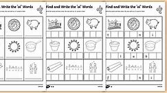 Oi Words Phonics Differentiated Worksheet Pack