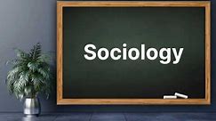 Understanding Sociology: Unveiling the Social Fabric | introduction to sociology | SocioMotive