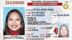 REAL ID Illinois and Driver's License Renewal: Here's What to Know