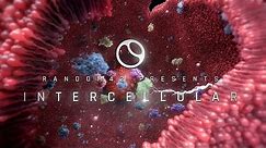 Intercellular – An Interbody VR Experience