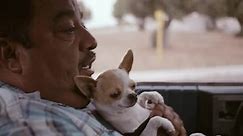 T-Mobile Commercial: José’s Wi-Fi Dogs | Watch Now - Y8.com
