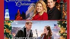 Hallmark 3-Movie Collection: Entertaining Christmas, A Homecoming for the Holidays, Holiday For Heroes (Bundle)
