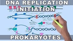 DNA Replication in Prokaryotes | Initiation