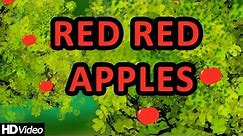 Red Red Apples - Nursery Rhymes | Learning English Preschool Rhymes For Children