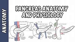 Pancreas Clinical Anatomy and Physiology