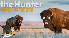 This Are Some Of The BIGGEST Bison Out Here - The Hunter: Call Of The Wild