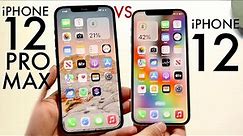 iPhone 12 Vs iPhone 12 Pro Max In 2024! (Comparison) (Review)