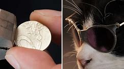 Handmade cat glasses from an ordinary coin 😻