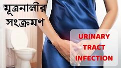 মূত্রনালির সংক্রমণ | UTI : urinary tract infection | ইউরিন ইনফেকশন হলে করণীয়
