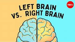 The left brain vs. right brain myth - Elizabeth Waters