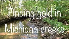 Finding gold in Michigan creeks