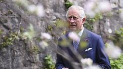 New biography shows a side of Prince Charles we’ve not seen