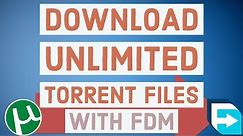 How to Download Torrent Files with FDM | Unlimited File Size Above 1gb | without torrific and zbigz