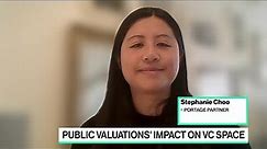 Public Valuations' Impact on VC Landscape