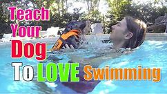 How to Teach Your Dog to Love WATER & SWIMMING