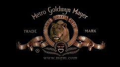 Metro-Goldwyn-Mayer (2004)