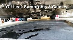 OIL LEAK SYMPTOMS AND CAUSES | HOW TO FIND OIL LEAKS