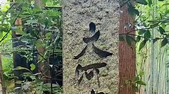 ⛩️Kyoto - Arashiyama ⛰️ 🚶‍♀️ Walking Tour 🚶‍♂️ Tour information: https://www.japantouradventure.com/ #guidedtour #walkingtour #travel #japan #tourisme #destination #discovering #kyoto #arashiyama #kimono #bamboo #groves #forest #traditional | Japan Tour Adventure / ジャパンツアーアドベンチャー