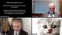 Texas attorney accidentally leaves cat filter on during Zoom call | ABC7